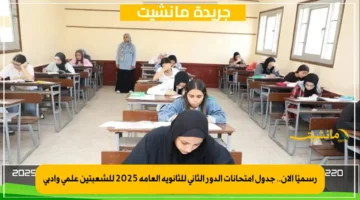 رسميًا الآن.. جدول امتحانات الدور الثاني للثانوية العامة 2025 للشعبتين علمي وأدبي 1